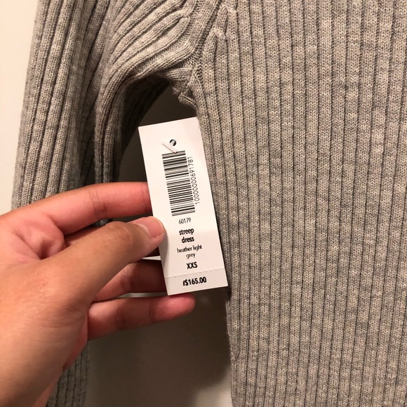 Aritzia Streep Dress - Picture 4 of 4